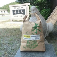 「新米」令和6年 真庭落合米 あきたこまち 玄米 5Kg ③