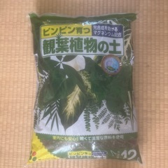 観葉植物の土
