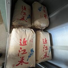 近江米新米　令和６年度産　キヌヒカリ玄米　30kgの画像