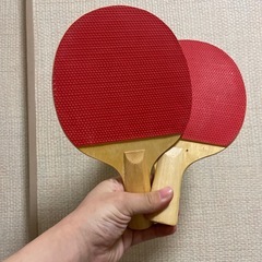 卓球セット