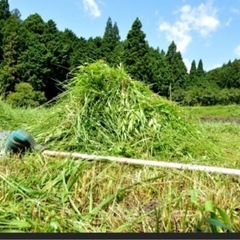 草刈り手伝って下さい