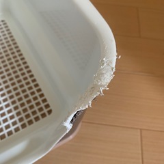 犬　トイレトレー　レギュラーサイズ　小型犬　トイレトレーニングにも　定価3850円の画像