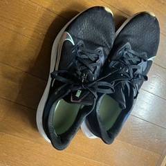 NIKE、スニーカー29センチの画像