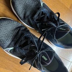 NIKE、スニーカー29センチの画像