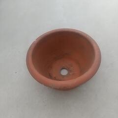 大きな植木鉢