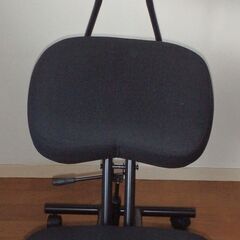 サンワダイレクト バランスチェアの画像