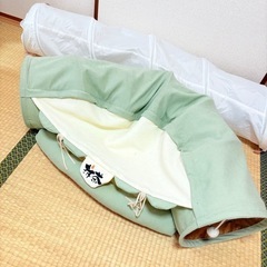 今週まで！猫トンネル2点セット　おもちゃ