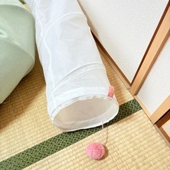 今週まで！猫トンネル2点セット　おもちゃの画像