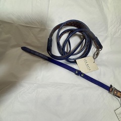 小型犬用リードと首輪SSサイズ未使用