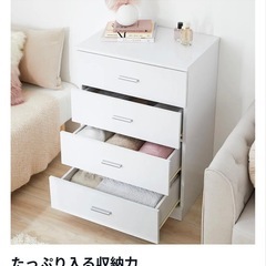 収納　魔法のチェスト　LOWYA