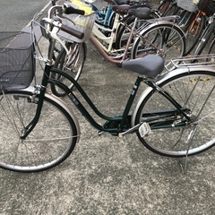 カジメブラウン他エギ王セット