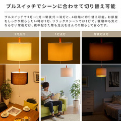 天井照明　３灯（電球なし）(1000円/個）の画像
