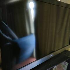 テレビ