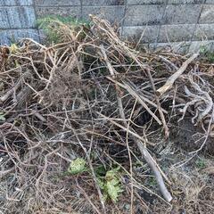 庭木 枝木 枯木 植木（伐採済み）