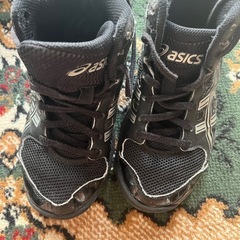 バッシュ