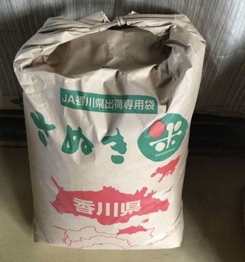 新米　30kg