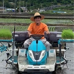 令和6年度産 コシヒカリ 30kg の画像