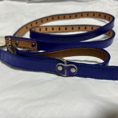 小型犬用リードと首輪Sサイズ未使用