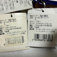 小型犬用リードと首輪Sサイズ未使用の画像