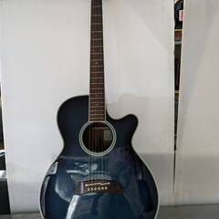 Takamine タカミネ エレアコ アコースティックギター P...