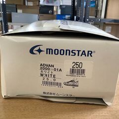 E444　[ムーンスター] スニーカー 通学 幅広 3E 白  メンズ レディース ADVAN2000-01Aの画像