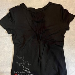龍 ドラゴン 重ね着風 Tシャツ Mサイズ 和風の画像