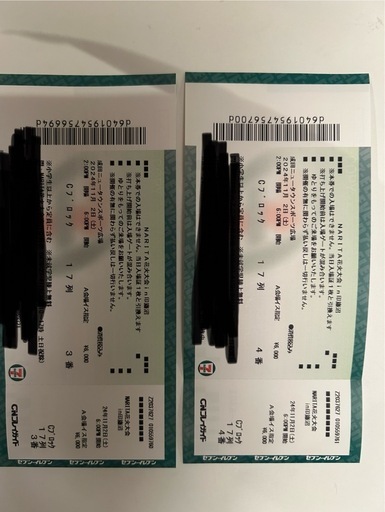 NARITA花火大会in印旛沼　Aエリア　ペアチケット