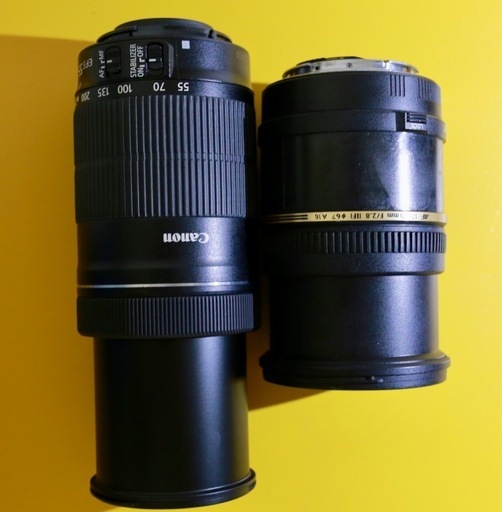 Canon EF-S 55-250mm F4-5.6 IS STM, キャノン用TAMRON 17-50 f2.8 XR DiII SP