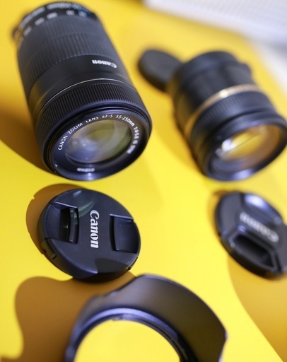 Canon EF-S 55-250mm F4-5.6 IS STM, キャノン用TAMRON 17-50 f2.8 XR DiII SP