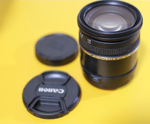 Canon EF-S 55-250mm F4-5.6 IS STM, キャノン用TAMRON 17-50 f2.8 XR DiII SP