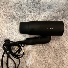 SALONIA サロニア スピーディーイオン ドライヤー