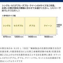 トゥルースリーパーSDサイズ！の画像