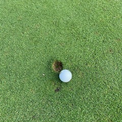 平日にゴルフのラウンドに行ける方いませんかー？
