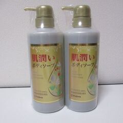 G∀100 ボディーソープ アロエ本舗 肌潤 500mL×2本セ...