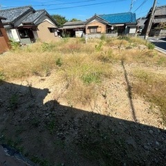 草刈り・草の処分　お願いします。 
