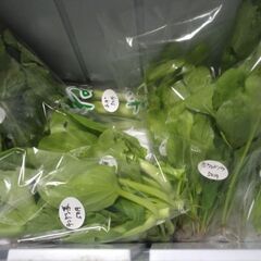 新鮮野菜コーナー1０月18日の品出し予定です。