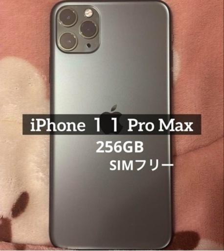 カナダ版 iPhone 16 Pro デザートチタニウム256GB 技適あり
