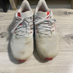 最終値下　
NIKEスニーカーの画像