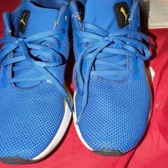 PUMA SOFTFOAM 23.5