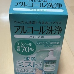 アルコール洗浄 ハンドミスト 500ml PROION プロイオン
