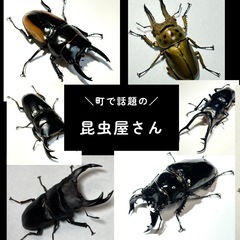 【10月20日（日）10時〜15時】 厚木農園ちっちゃ森マルシェ...