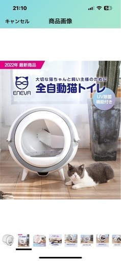 猫　自動トイレ