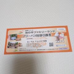 期限今月末までのチケット