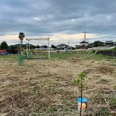 キャンプ場🏕️