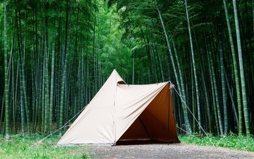 未使用品　テンマクデザイン サーカス TC DX+ サンド 2人用 ワンポールテント スカート付き