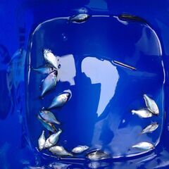タナゴウキ　小物釣り　釣り道具05の画像