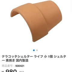 シェルター隠れ宿