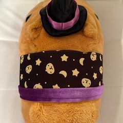 カピバラさん ぬいぐるみの画像