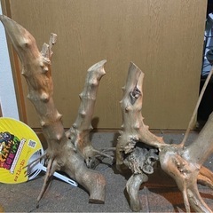 根っこの流木　ディスプレイなどに　<値段交渉可能です、>の画像