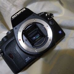 オリンパス　olympus E-410  美品